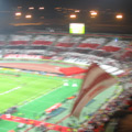 amazing milan fans